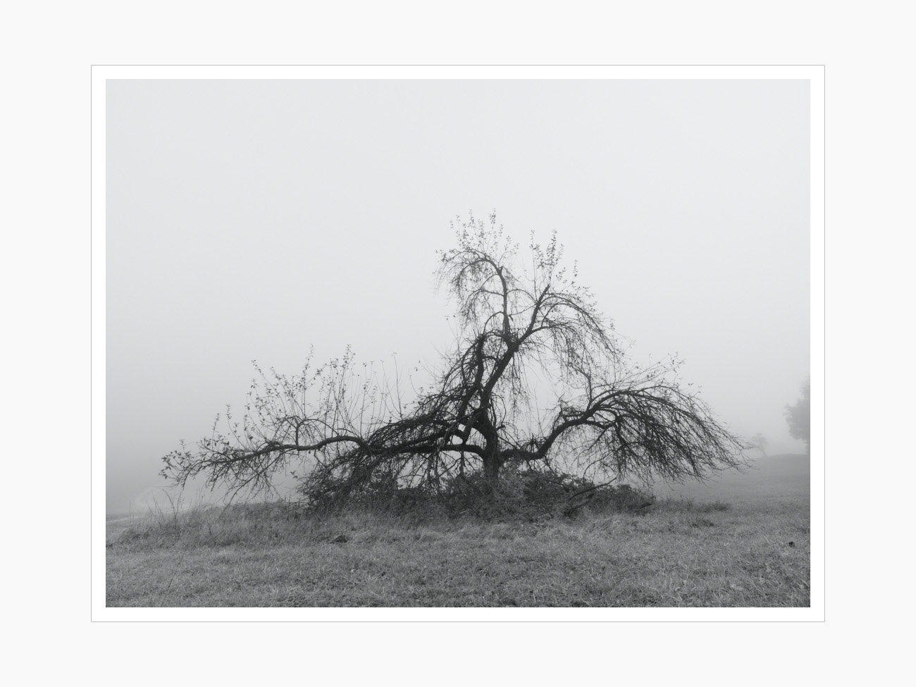 Max Schiefele Alle Bilder  DSF7370